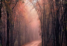 泰晤士：马特塔将于周二恢复全面训练 有望周六对富勒姆时复出.