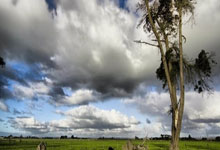 加拉：姆巴佩数据是超越了齐达内，但他距离齐祖还差2欧冠+1金球.