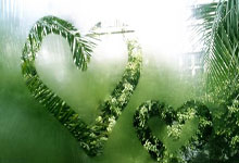 中国女足进奥运会悬了，但也不能“乱炖”了中新体坛.